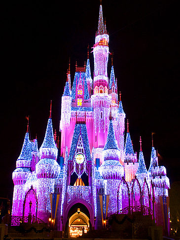 Fotos Walt Disney World Resort