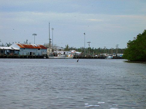 Blick auf Wasser - Florida