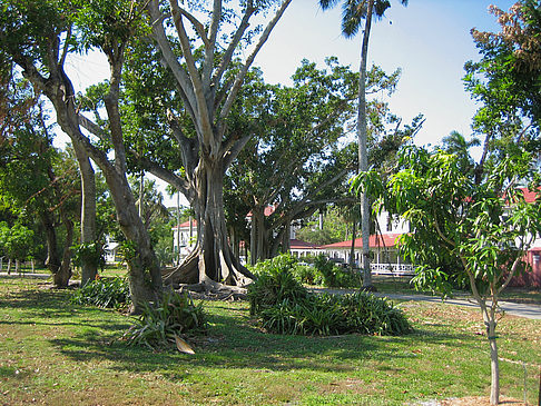 Häuser - Florida