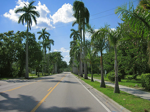 Straße - Florida