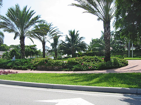 Straßenrand auf Marco Island - Florida (Marco Island)