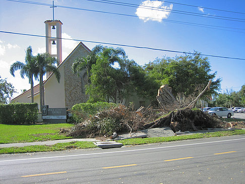 Straßenrand - Florida