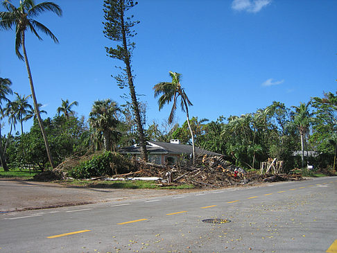 Straßenrand - Florida