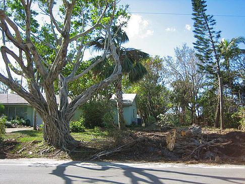 Straßenrand - Florida