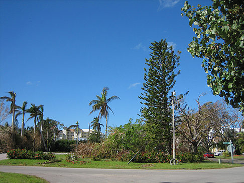 Straßenrand Foto 