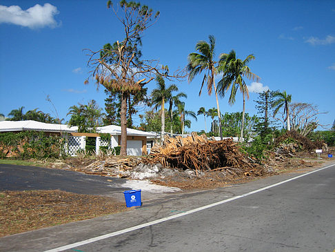 Straßenrand - Florida