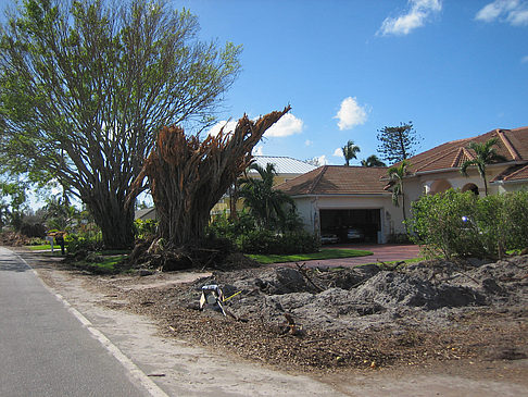 Straßenrand - Florida