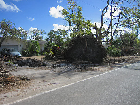 Straßenrand - Florida