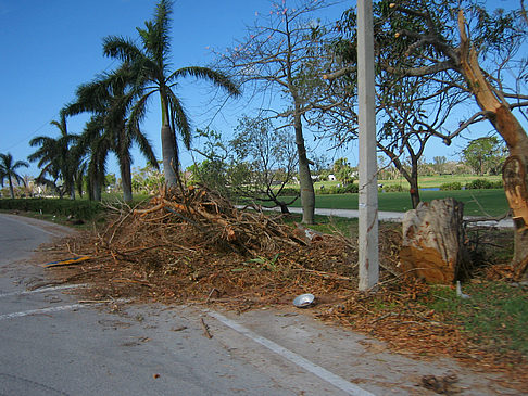 Straßenrand - Florida