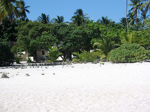 Wohnungen am Strand - Malediven