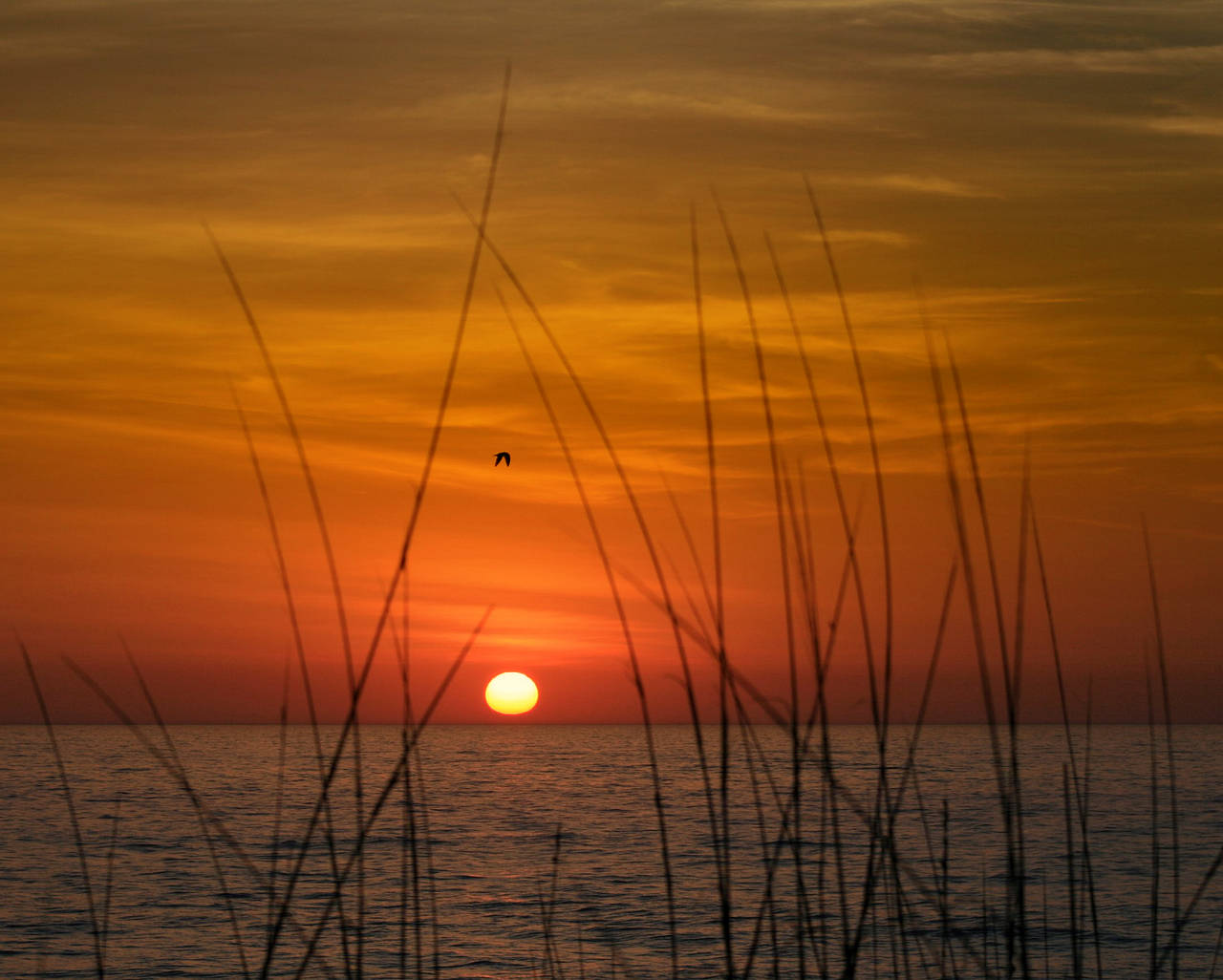  Bildansicht Sehenswürdigkeit  Florida 