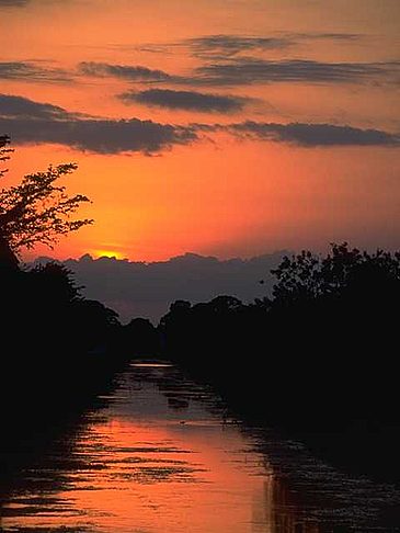 Everglades Nationalpark Foto 