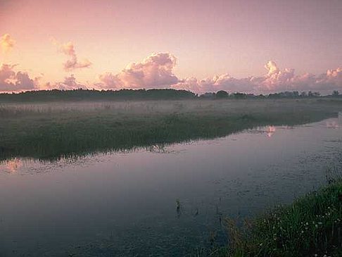 Everglades Nationalpark Fotos