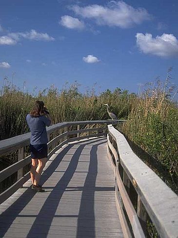 Fotos Everglades Nationalpark | Florida City