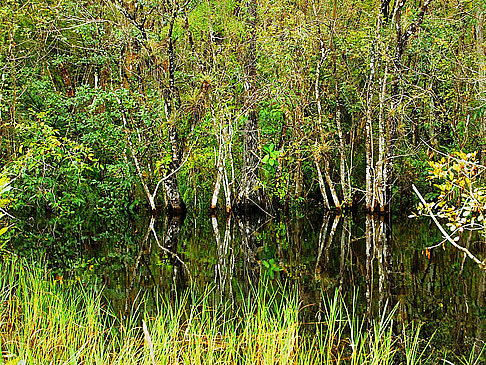 Fotos Everglades Nationalpark | Florida City