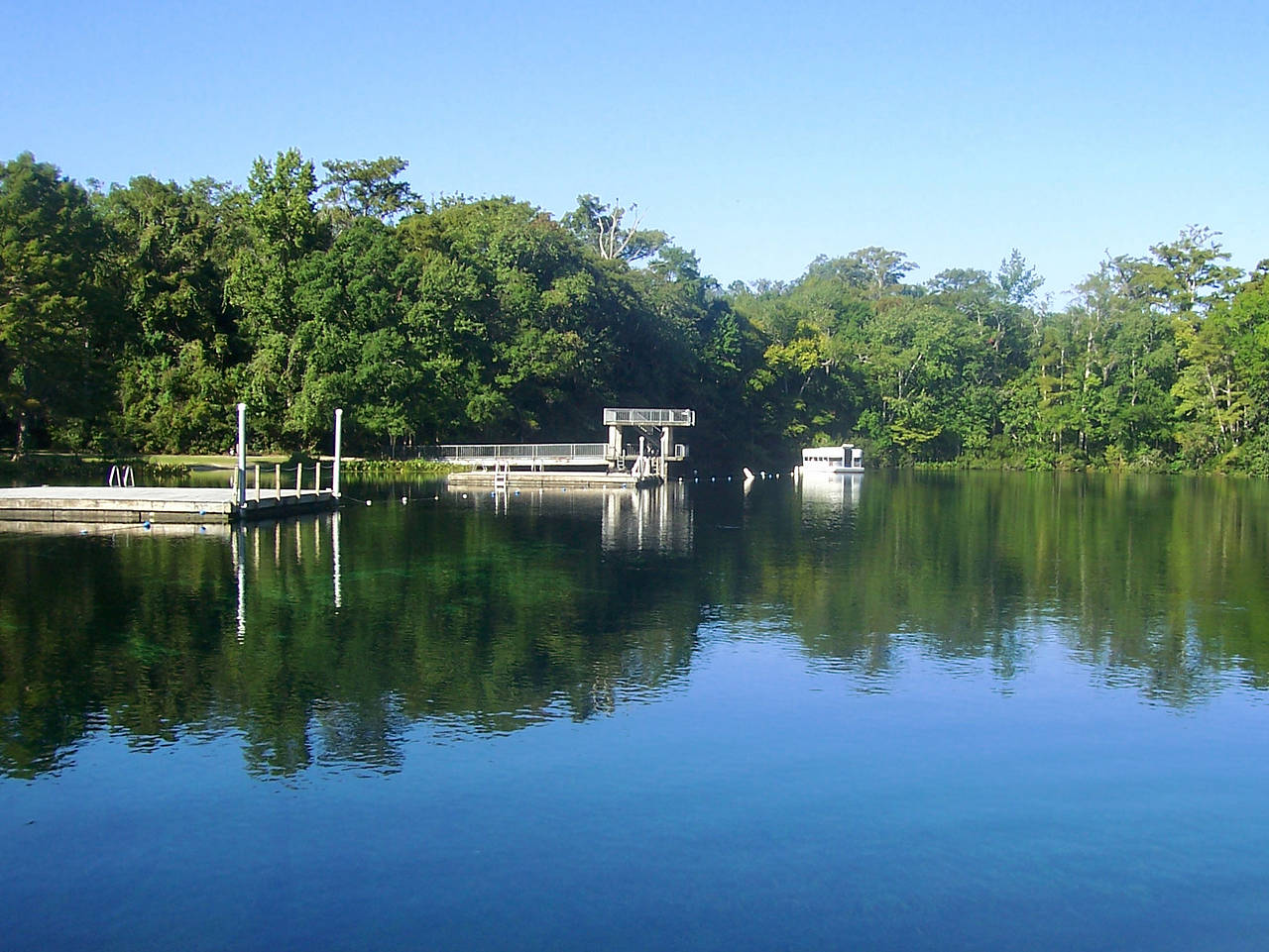 Wakulla Springs Foto 