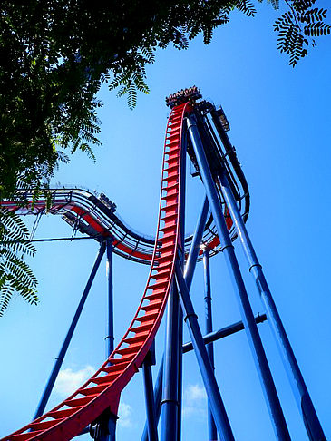 Busch Gardens Orlando