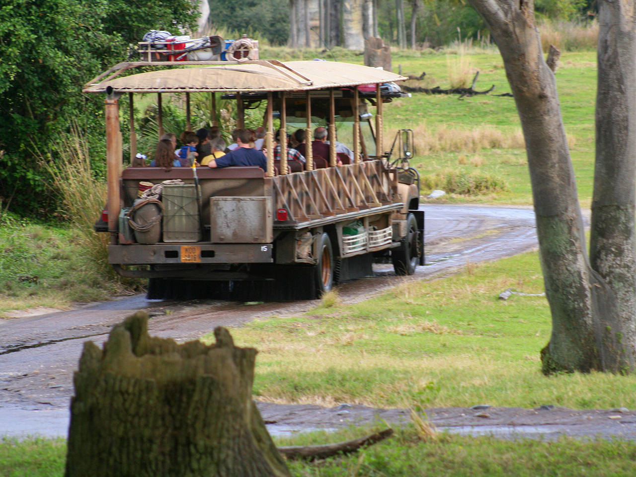 Foto Disney’s Animal Kingdom - Orlando