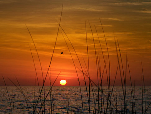 Amelia Island - Florida ()